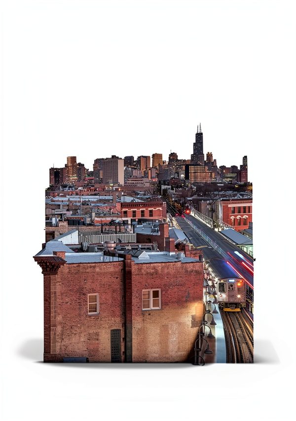 University of Illinois Press Architecture Reference Kindle-0