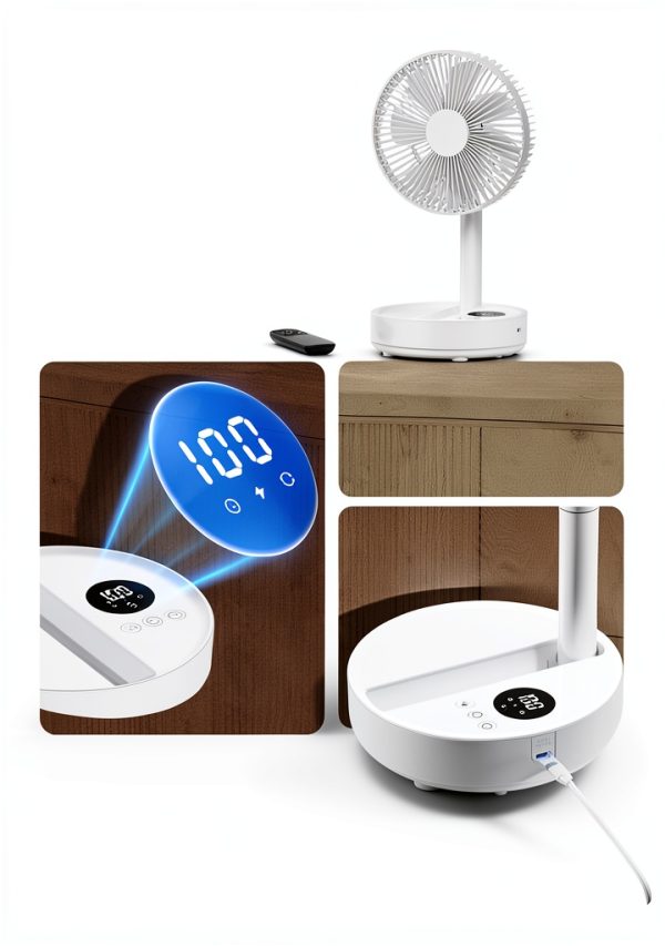 Edvision Modern Battery Powered Pedestal Fan-3