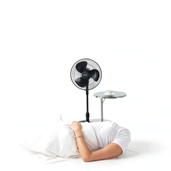 Emerson Classic Pedestal Fan for Home Office-5