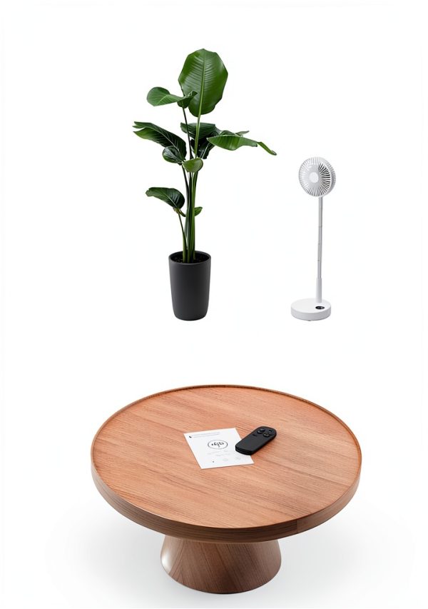 Edvision Modern Battery Powered Pedestal Fan-4