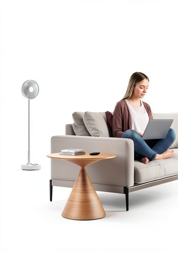 Edvision Modern Battery Powered Pedestal Fan-1