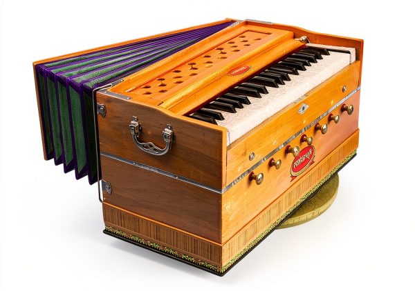 Maharaja Musicals 3 1/4 Octave Harmonium Natural Wood-2