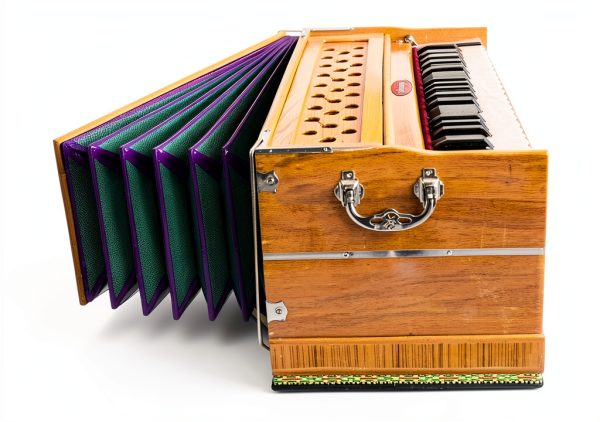 Maharaja Musicals 3 1/4 Octave Harmonium Natural Wood-3
