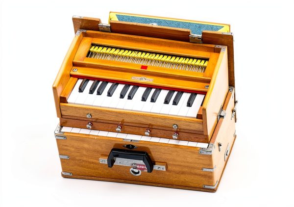 Bina Musicals Harmonium Natural Wood 23B Pro-1