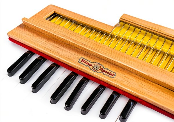 Bina Musicals Harmonium Natural Wood 23B Pro-4