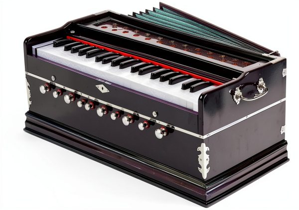 Harmonium_02 Handmade 42 Key Wood Musical Instrument-0