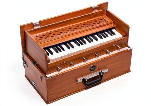Old Delhi Harmonium HBCLSC-SE 42-Key Natural Pine Portable Instrument-0