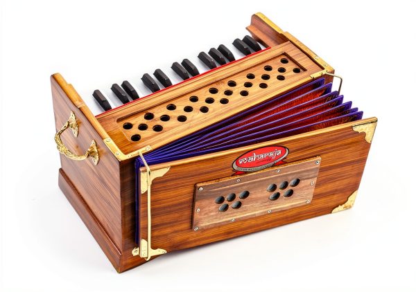 Maharaja Musicals Portable Harmonium Gold 2.5 Octave Small PH3-4