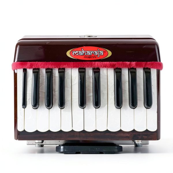 Harmonium Maharaja Musicals PH2 Dark Mahogany 2 1 4 Octave Cedar Wood-4