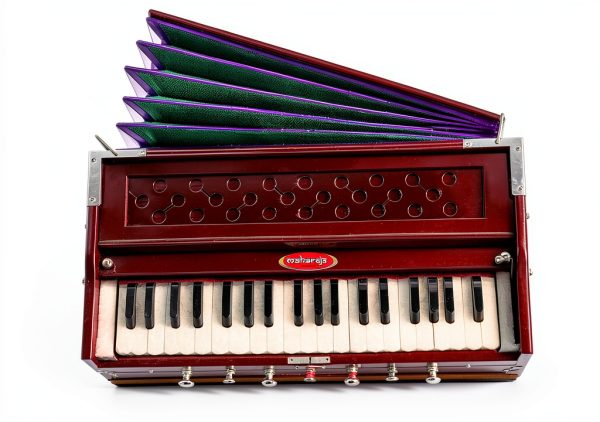 Maharaja Musicals Mahogany Harmonium DB Model with Case and Gig Bag-3