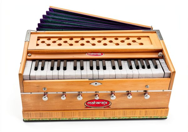 Maharaja Musicals Wooden Harmonium Model 126 Multicolor with Case-8