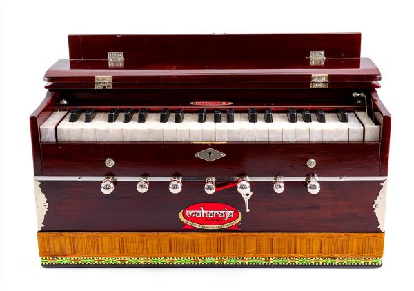 Maharaja Musicals Mahogany Harmonium DB Model with Case and Gig Bag-8