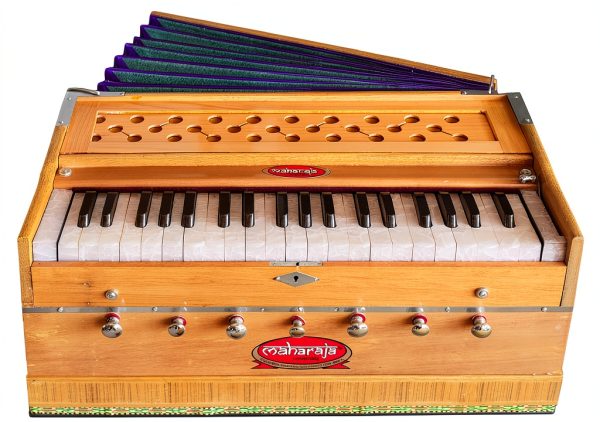 Maharaja Musicals Wooden Harmonium Model 126 Multicolor with Case-0