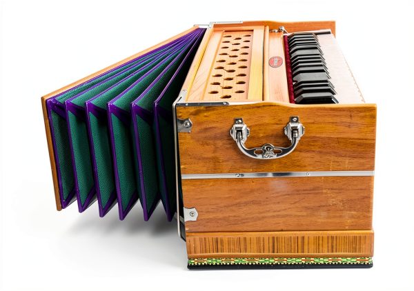 Maharaja Musicals Wooden Harmonium Model 126 Multicolor with Case-3